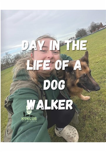 A Day in the Life of a Dog Walker