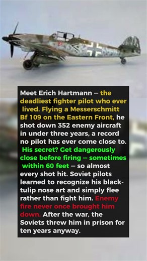The Deadliest WWII Fighter Ace With 352 Kills! |WW2