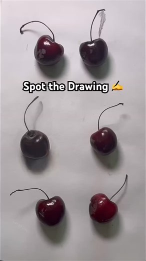 drawingandart | Can you spot the hyper-realistic pencil drawing? 🍒✏️ #realorart #hyperrealism #pencildrawing #spotthedrawing #cherryart #hyperrealise... | Instagram