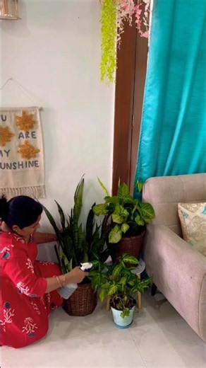 There is so much peace at home #indoorplants #gardeningtips #gardening #plants