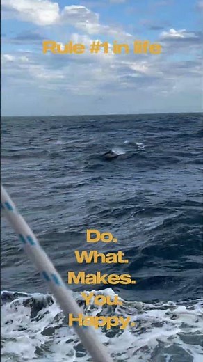 Young Endeavour | Do what makes you happy…