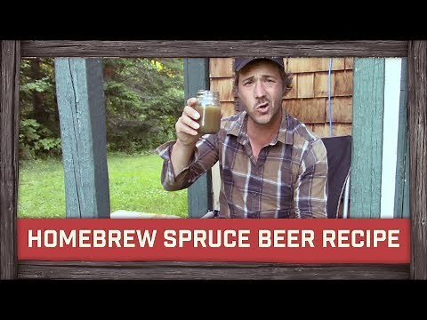 Homebrew Spruce Beer Recipe!