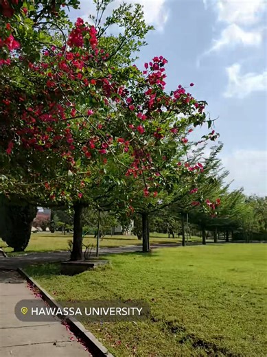 Staying Active as a University Freshman