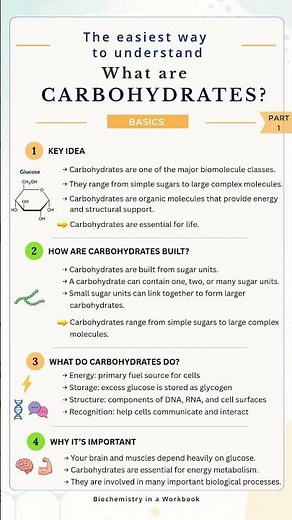 What are carbohydrates? #biochemistry #biology #biochemistryinaworkbook #carbs