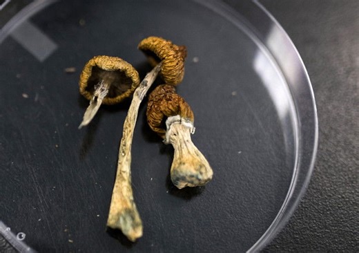 Oregon's first private insurance coverage for psilocybin services now available in Bend