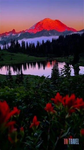Spring Sunrise at Mount Rainier 🌸🌄 Flower Bloom Magic