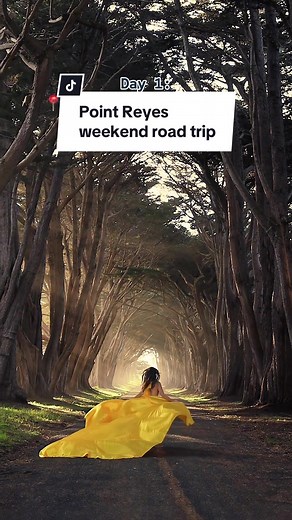 Ultimate Point Reyes Weekend Road Trip Itinerary