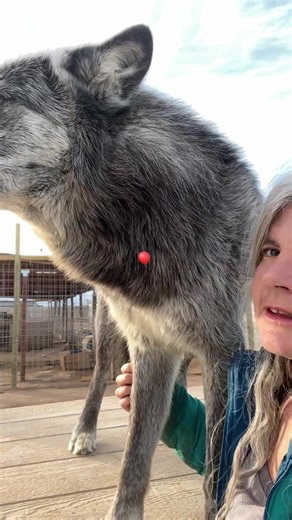 Overcoming Fear of Hot Air Balloons