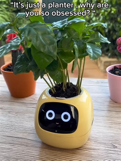 Cute Plant Pet Robot #petbot #cuteplanter https://lu-fran.myshopify.com/products/ivy-plant-cute-pet-robot-electronic-pet-flower-pot-healing-ai-electronic-toy-creative-air-purification-75394023594-phpdn?variant=47776097829034