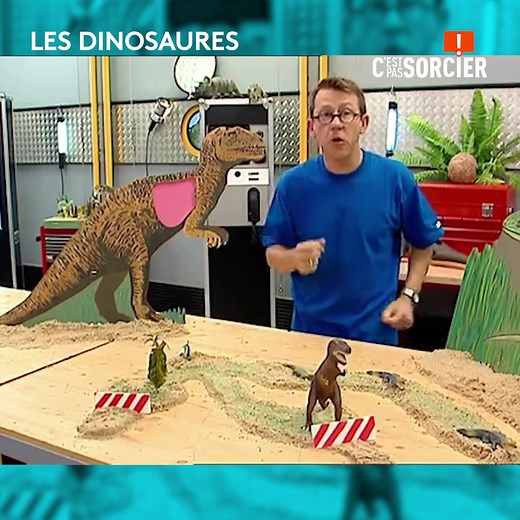 Qui sait ce que signifie "dinosaure" ? Réponse dans cette vidéo de Jamy Gourmaud ;-) | C'est pas sorcier