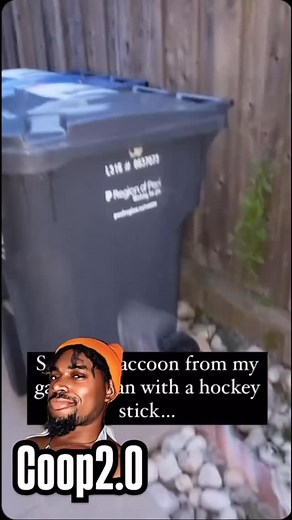 57K views · 19K reactions | U gone help me or help me  #funny #voiceover #funnyanimals #fyp #racoon #creatorsearchinsights | Coop 2.0 | Facebook