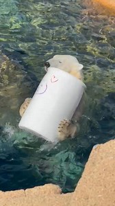 85K views · 32 reactions | Kansas City Zoo & Aquarium on Reels | Facebook