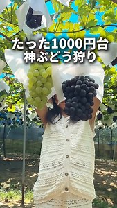 大阪グルメ | 詳細↓【毎日投稿】👆フォローしてね 💡他の投稿はこちら→@osakagourmet4 この店行きたい！と思ったら右の「…」から保存 📍大阪柏原市たかさ園 大阪府柏原市安堂町405、柏原市観 光ぶどうセンター太平寺支部「たかさ 園」 近鉄大阪線「安堂駅」から徒歩 15分... | Instagram