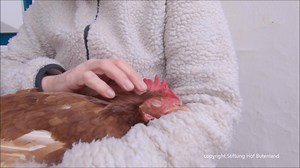 45K views · 1.1K reactions | Gackipedia mit Elfriede (*English...