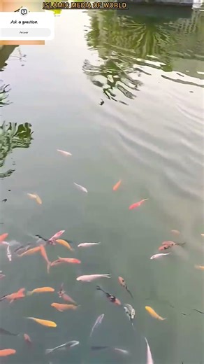 #music #rap #fifa #bplfinal #barcelonaplayer #efootball #dlscreator #frenchfootballer #cricket