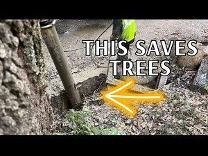 Save Trees with Hydrovac & Ground Penetrating Radar(Live Oak Tree Roots)
