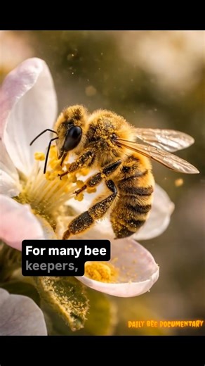 How Much Money This Bee Really Makes