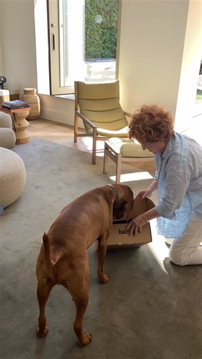 Meet the Barney Curl 🐾 Our patented round bed, designed by us right here in Australia 🇦🇺 Crafted for dogs who love to curl, cuddle, and donut-sleep 🍩💤 Unlike every other round dog bed stuffed with beans or shredded foam, the Barney Curl is built with our signature orthopeadic mattress and all-round Chin Rest. That means proper joint and bone support ✅, no sagging, no shifting, and no pressure points. Just uncompromising comfort that lasts 🛏️ Barney Curl comes pre-fitted with a waterproof l