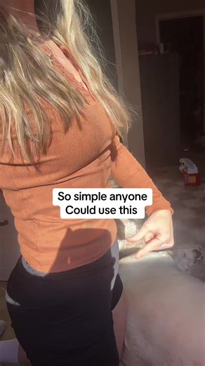 Home workout made simple! Full body workout or ab workout. #abworkout #easyworkout #homeworkout #fitness