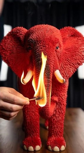 satisfying burning match sticks elephant video