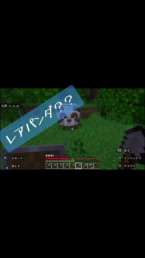 伐採してたら茶色パンダに遭遇！チョコパンダに命名✨#マイクラ #まいくら #マインクラフト #Minecraft #パンダ#ぱんだ#レア#茶#Minecraft