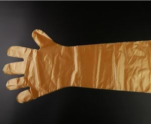 [Hot Item] Disposable Plastic Gloves Extra Long