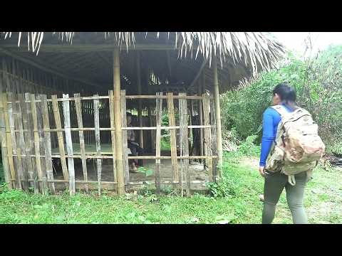 Girl Helps Old Lady Renovate Old House Into Dream House: Start To Finish