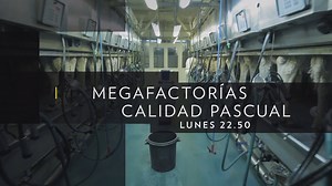 2K views · 25 reactions | La serie “Megafactorías” de National Geographic, dedicada a mostrar el funcionamiento de grandes conglomerados industriales alrededor del mundo, se adentra por primera vez en una empresa española. Megafactorías: Calidad Pascual, esta noche a las 22.50 estreno en National Geographic. | National Geographic | Facebook