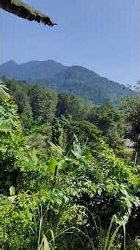 Make a Mountain Game on a Real Mountain :p #robloxstudioindonesia #mountain