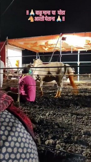 balumamacha ghoda 🙏🙏 #balumamastatus #balumama short #balumamasong #jaybalumama
