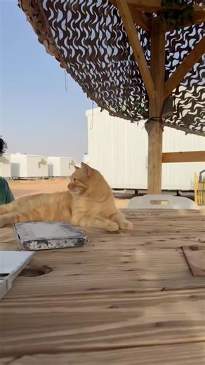 Garfield of PSAB | Air Force amn/nco/snco