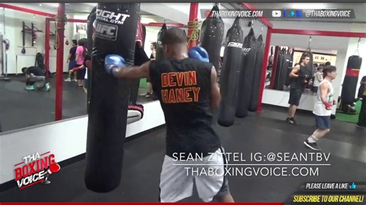 DEVIN HANEY shows CRACKING POWER, goes HARD on the HEAVYBAG