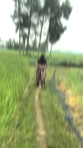 Unfreeze My Account Request in Bangladesh