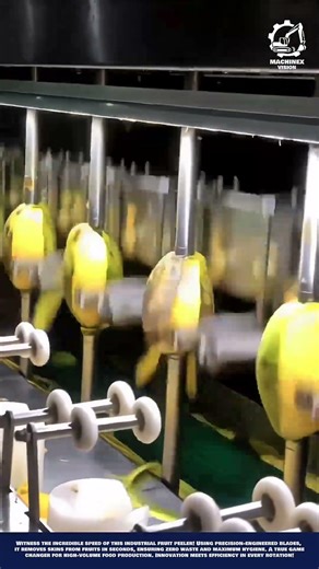Precision Fruit Peeling Machine Innovation for Hygienic production preparation and rotating