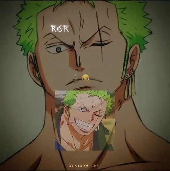 𝐏𝐚𝐫𝐭 9̶ | Zoro 😂 ❤️ #onepiece #opquotes #slanimequotes #animeqoutes #anime #flypシ #viral #foryou #op #zoro #roronoazoro