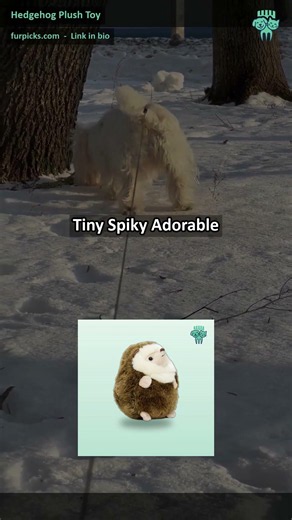 Cute Hedgehog Plush Toy for Pets & Kids | Best Soft Pet Toy