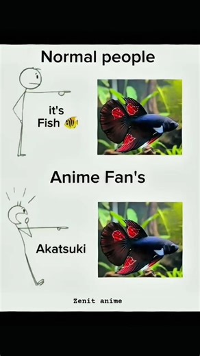 only anime fans will understand #akatsuki #fish #shorts
