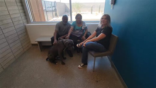 7.4K views · 254 reactions | This is how you set your new baby up for success! Listen to Erwin and Joanne's story and how they are preparing for the arrival of Odin to their home. Can we get 100 more people just like them? They make our job easy, and we thank them! | Pinal County Animal Care and Control | Facebook