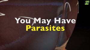 Find out how you can tell you if you have a parasite and what you can do to naturally get rid of it! | Natural Solutions Magazine