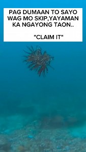 Jumar Escala on Reels