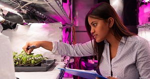 Horticulture (multiple concentrations) major – Purdue University