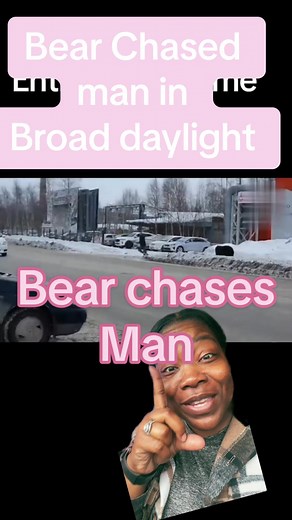 Man Chased by Bear - Terrifying Encounter Caught on Camera