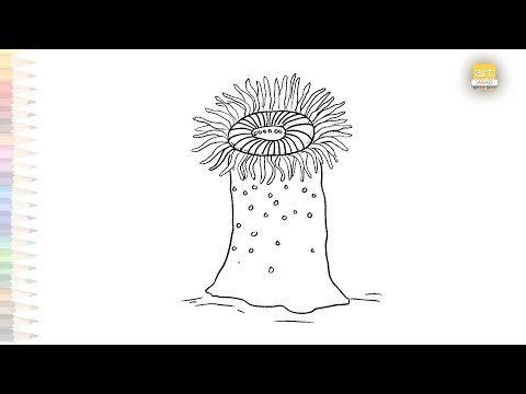 Sea anemone drawing easy | Outline drawings | How to draw Sea anemone step by step simply #artjanag