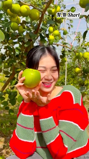 Alien 16 Apple Ber Fruit Plant #trending #shortvideo #ytshorts #viralvideo #appleberfarming
