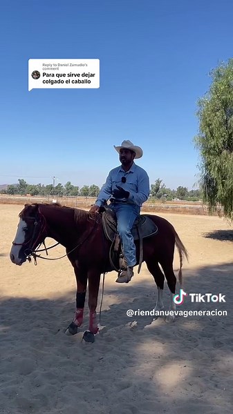 Exploring the Beauty of Horses in the USA and Mexico