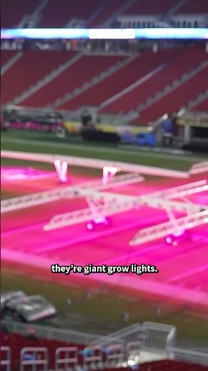 Al Roker Explains What the Pink LED Lights on the Super Bowl Field Are