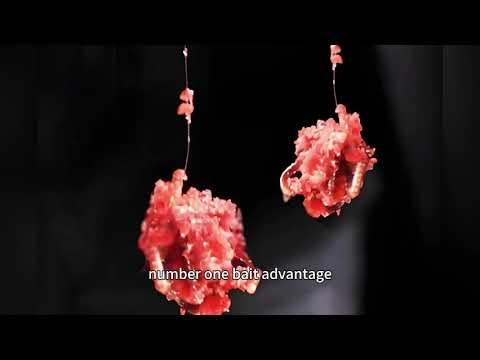 Worm Fishing Tips: 3 Key Tricks to Maximize Your Catch!”