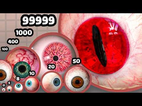 Is this THE BIGGEST Eye Ball? (Size Comparison)