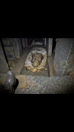 #theundiscovered #ufo #alien | the undiscovered