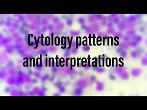 Different cytology interpretations